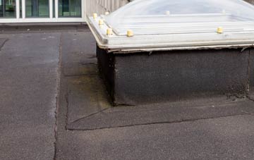 disadvantages of Morden Green flat roofs