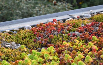 the cost of Morden Green green roof installation