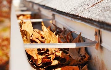Morden Green gutter cleaning companies