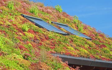 Morden Green living roof systems