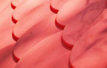 Morden Green plastic roof costs