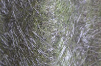 Morden Green fibreglass roof work